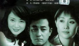 电视剧《人证》,探寻真相与正义的较量