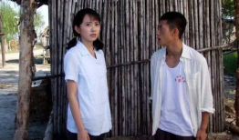 青谷子电视剧,青春岁月里的奋斗传奇